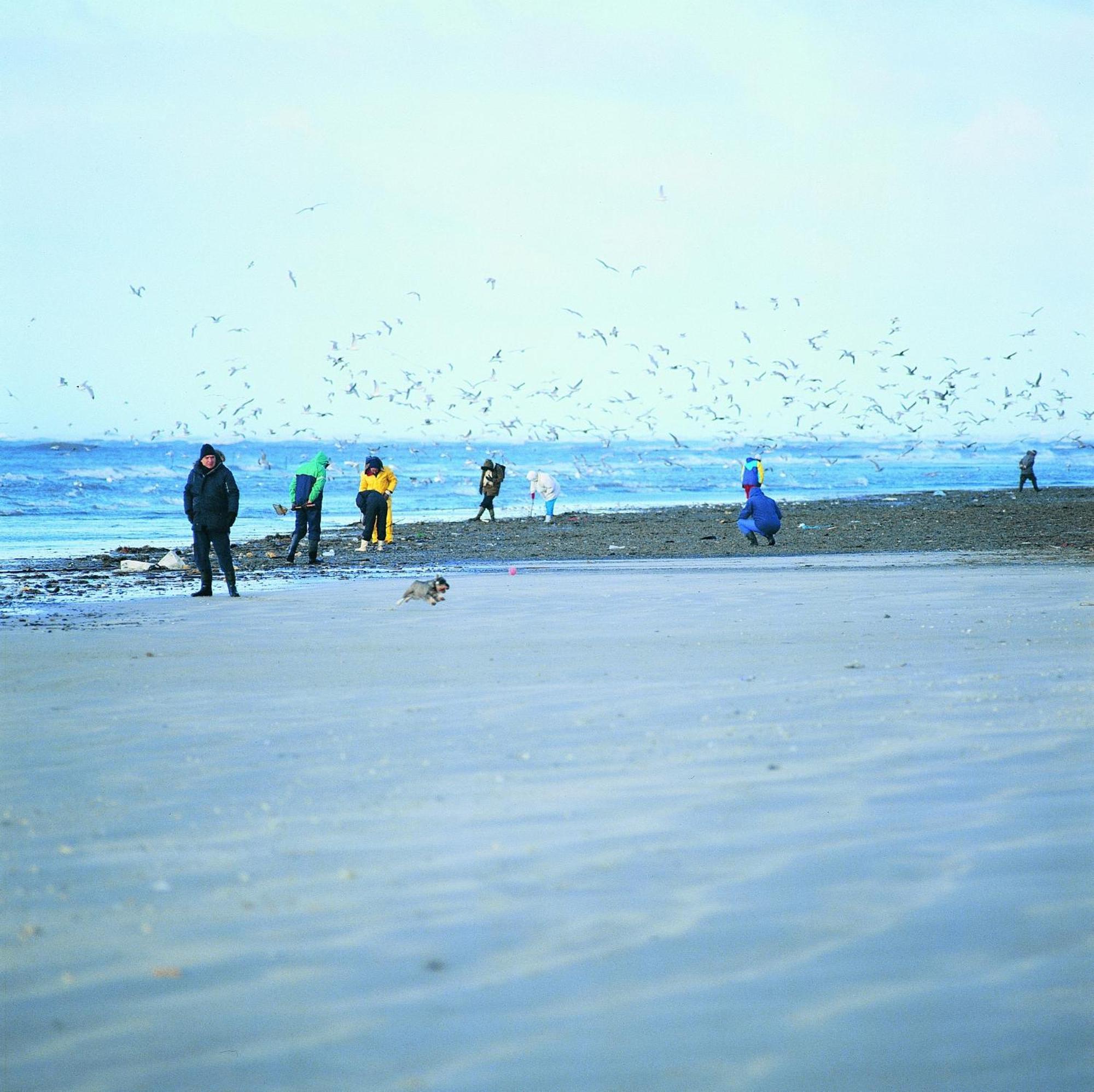 Vejers Family Camping & Cottages Eksteriør bilde