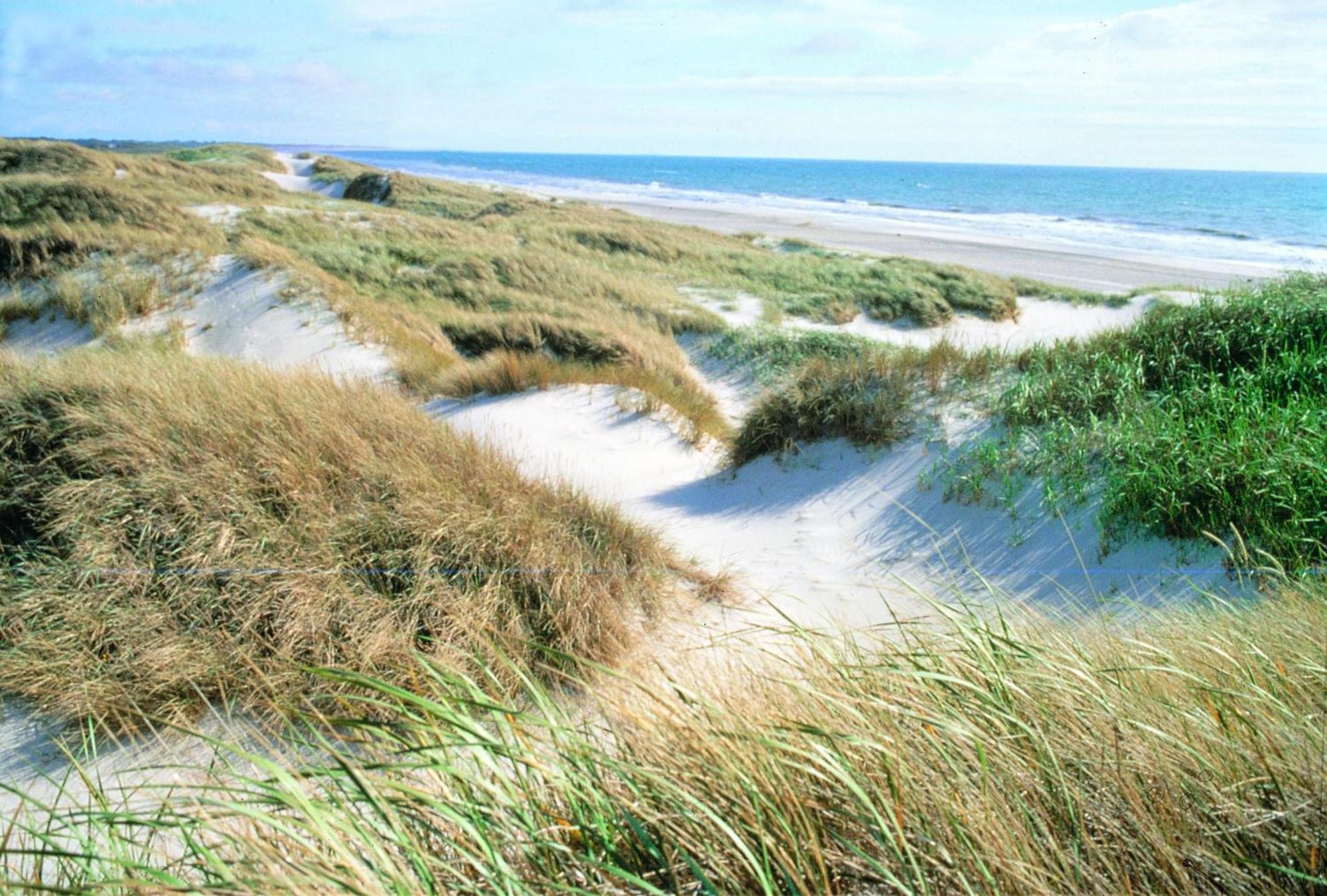 Vejers Family Camping & Cottages Eksteriør bilde